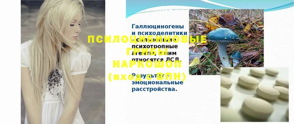 соль ск Балахна