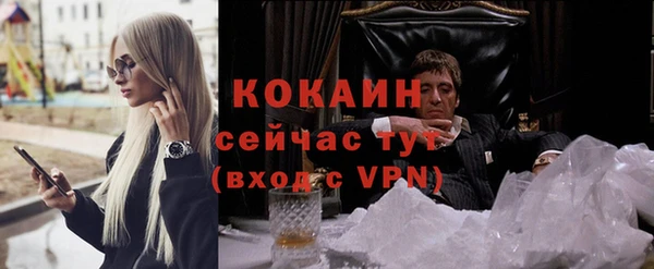 ПСИЛОЦИБИНОВЫЕ ГРИБЫ Балабаново