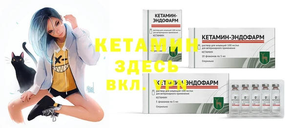 прущие грибы Нягань