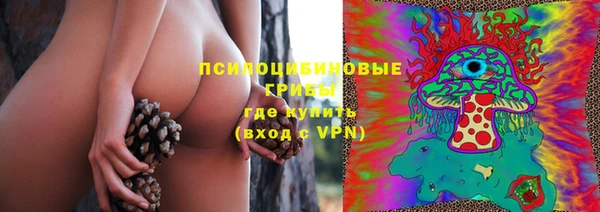 ПСИЛОЦИБИНОВЫЕ ГРИБЫ Балабаново